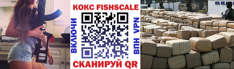 закладка  Володарск  МЕГА сайт  Кокаин Fish Scale 