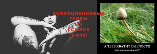 сатива Волосово