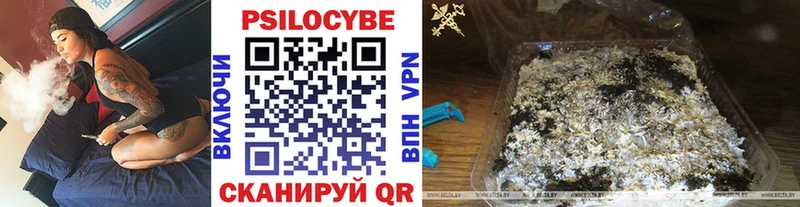 цены наркотик  Володарск  Псилоцибиновые грибы мухоморы 