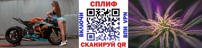Бошки Шишки VHQ Володарск